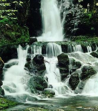 Dickson Falls - Fundy