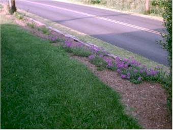 June 10, 2000