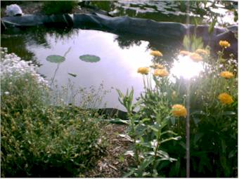 June 10, 2000