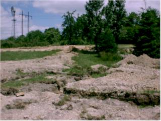 Excavation 3 June 2000