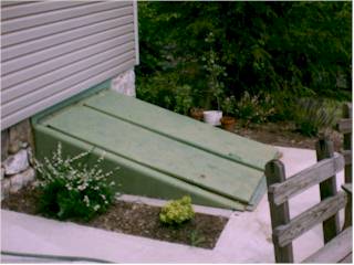 Plants 2
