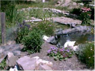 July 9, 2000