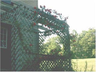 Front porch.