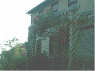 Front porch