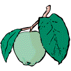 food001.gif