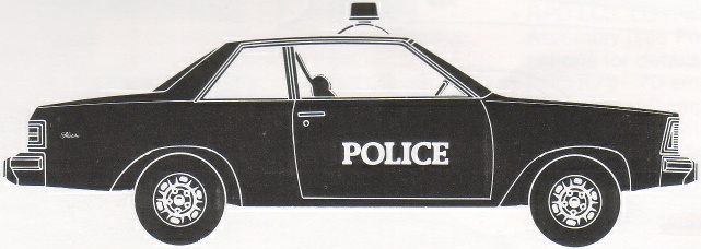 1980 2 door Malibu 9C1