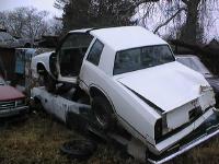 Junkyard Jewel pic3