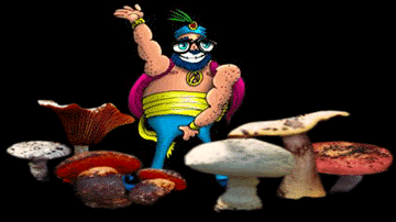 Mushroom guy