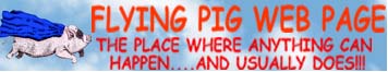 Flying Pig Web Page