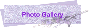 Photo Gallery