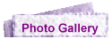 Photo Gallery