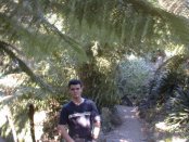 In the greenery