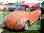 070_cdoex99.jpg