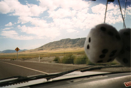 fuzzy dice are cool...