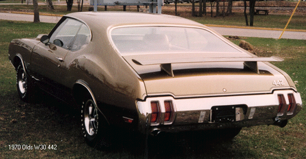 W30 442 REAR VIEW