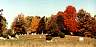 fall02.jpg