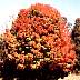 fall06.jpg