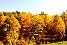 fall09.jpg
