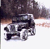 Let's go 4 wheeling in the neighbors yard