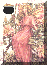 Found Fairy