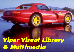 Visual Gallery