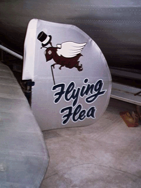 Flying Flea - pic 3