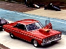 Untitled272.jpg