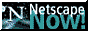 Netscapeicon.gif (1324 bytes)