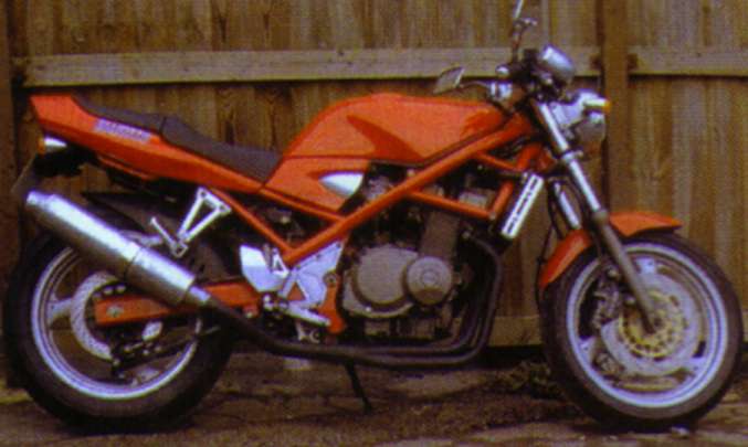 bandit-03.jpg (31022 bytes)