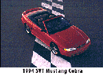 '94 Mustang Cobra