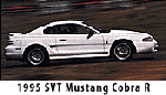 '95 Mustang Cobra R