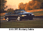 '95 Mustang cobra