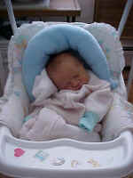 Jack crunched up sleeping in his swing.jpg (40168 bytes)