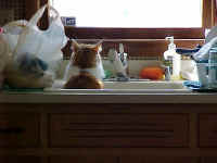 Magnum in the sink low angle shot.jpg (42565 bytes)