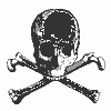flashing skull pic