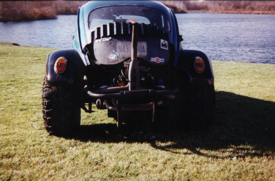 Image of bug15.jpg