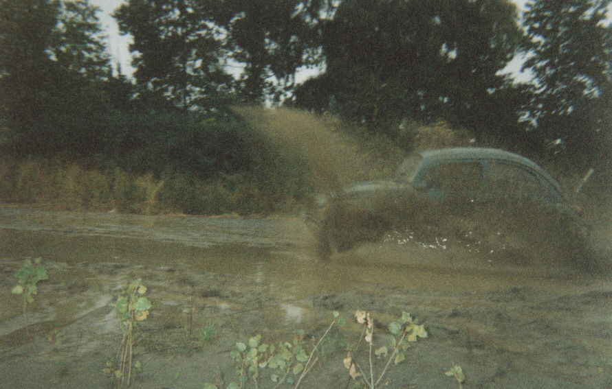 Image of bug2.jpg