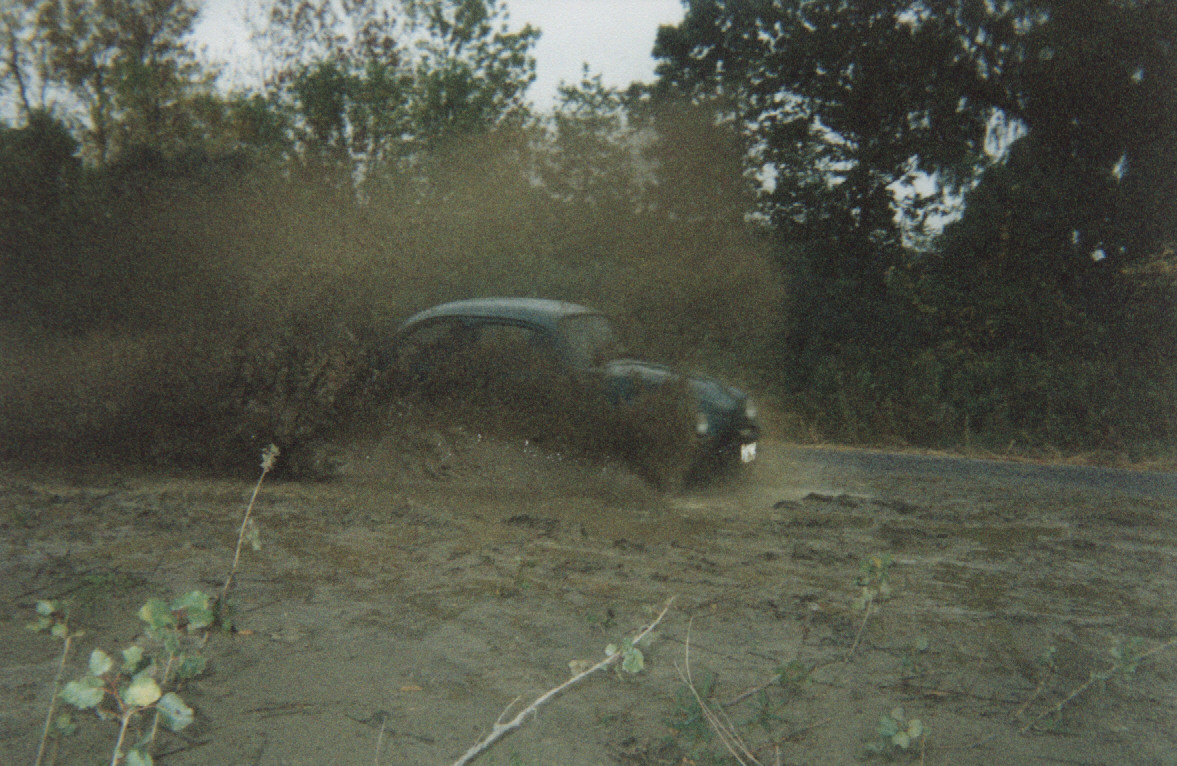 Image of bug4.jpg