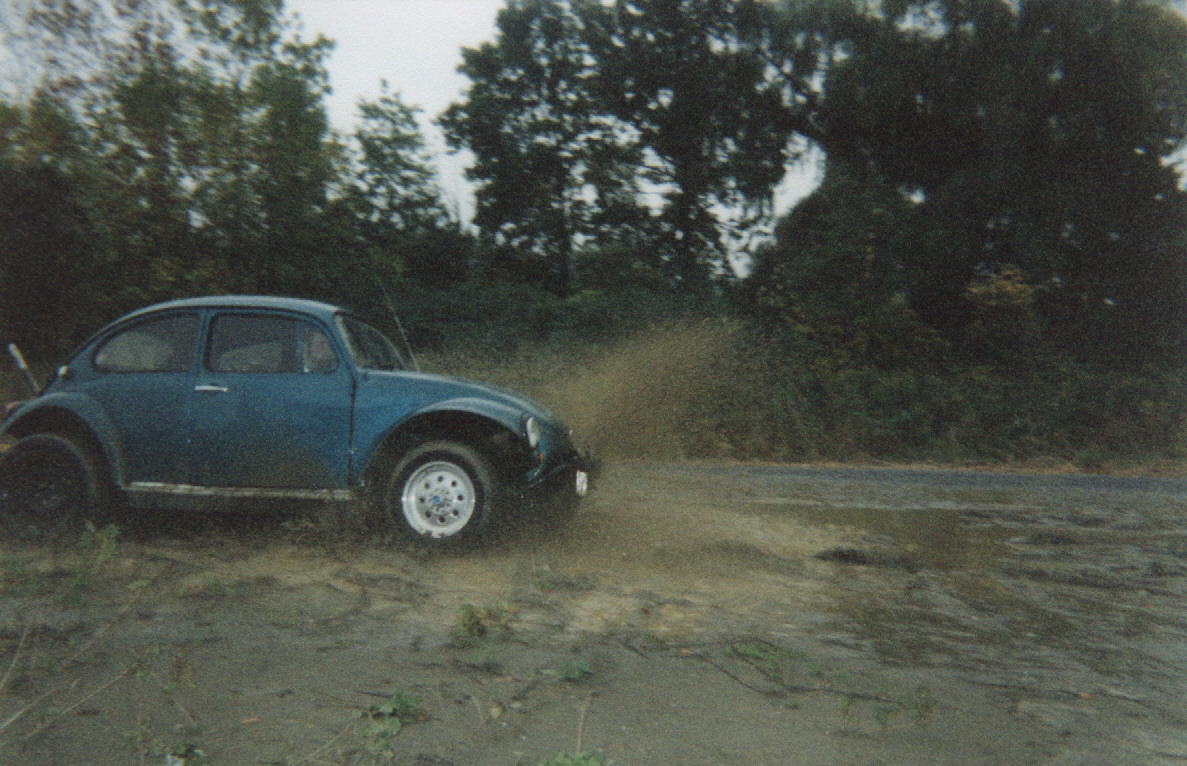 Image of bug6.jpg