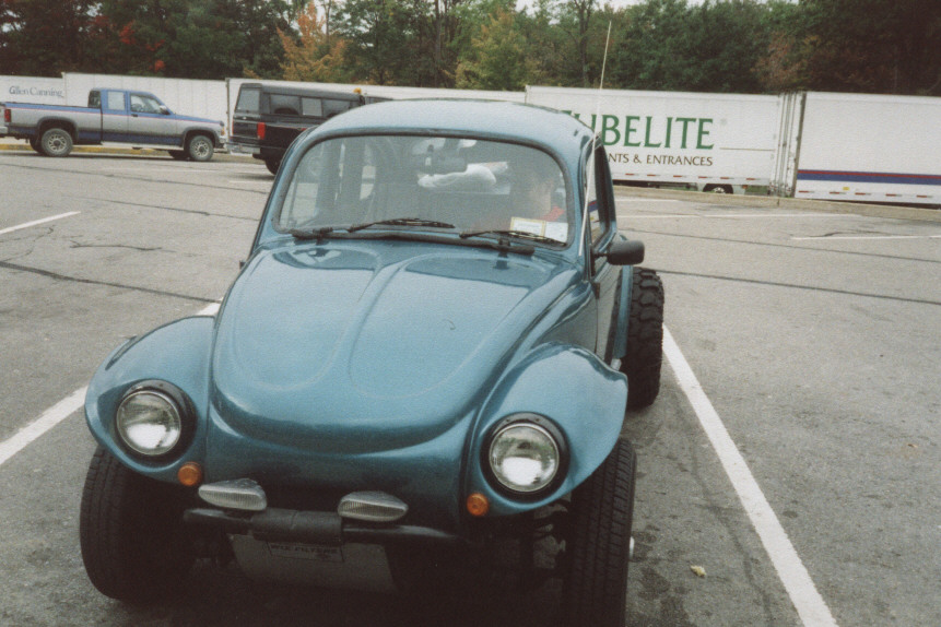 Image of bug8.jpg