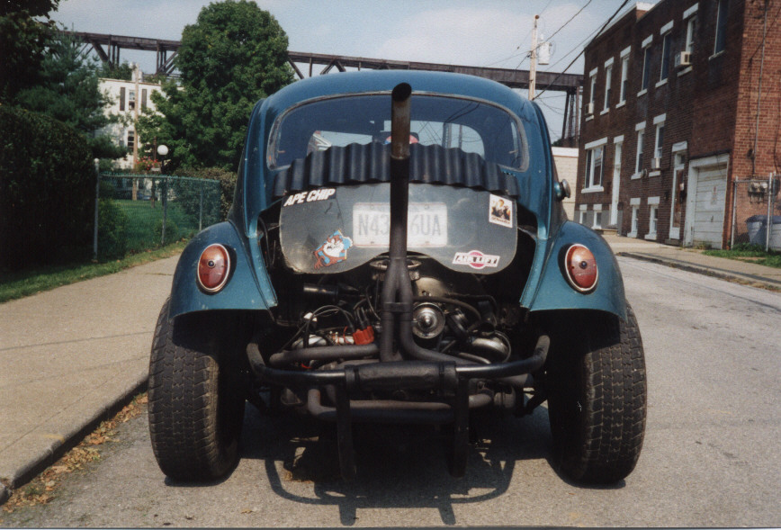 Image of bug9.jpg
