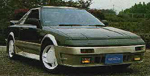 aw11-reglls2.jpg (20084 bytes)