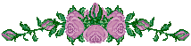 Cluster