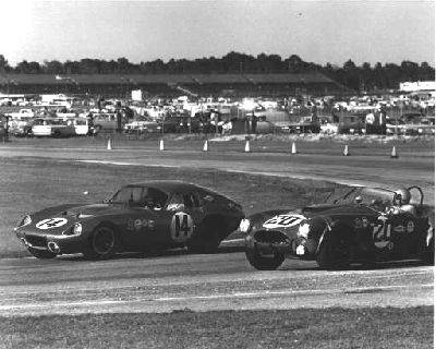 Daytona Cobra