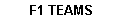 F1 Teams