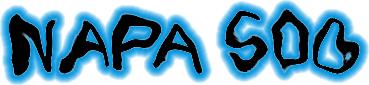 napa-logo-11-20-00.jpg (9946 bytes)