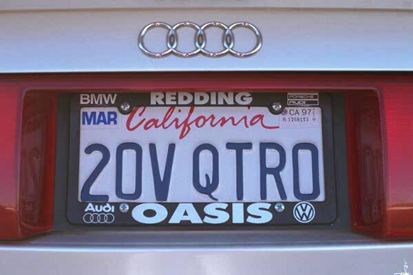 the licence plate