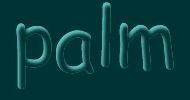 palm pilot