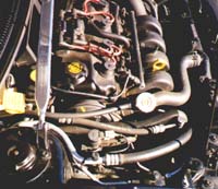 Passenger Side of Engine