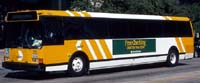 DART #934